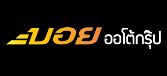 Boy Autogroup